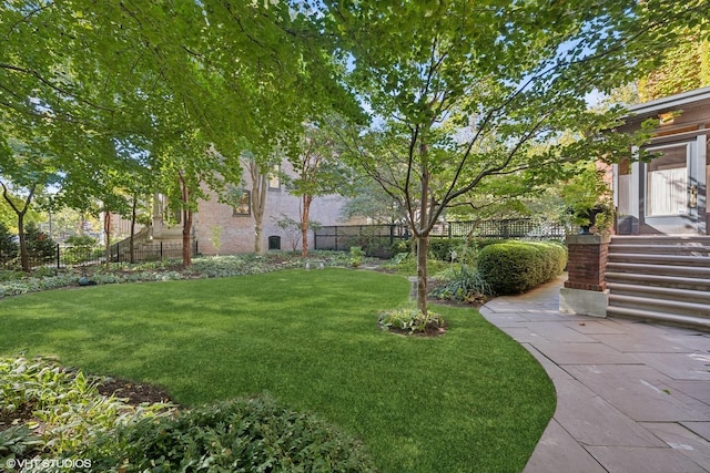 view of yard featuring a patio