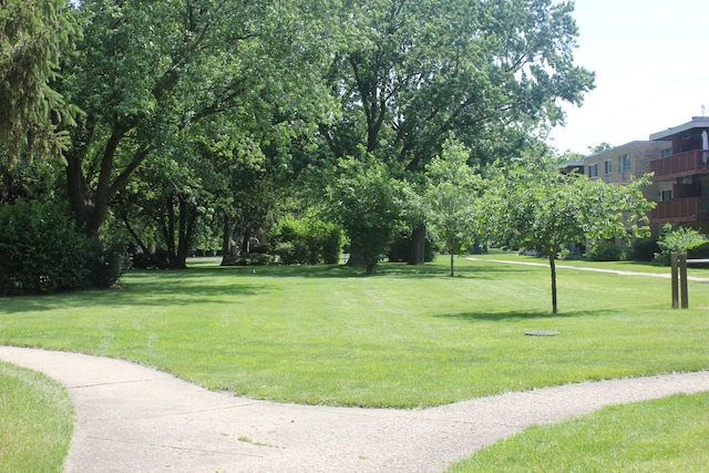 view of home's community with a lawn