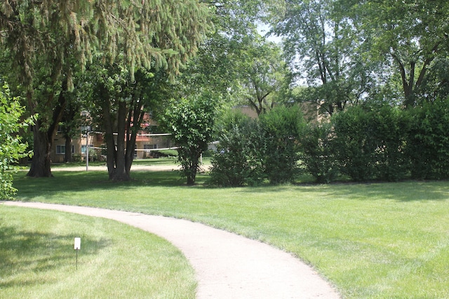 view of community featuring a yard