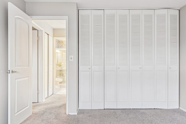 interior space featuring light carpet and a closet