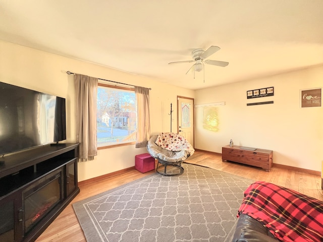 living room with ceiling fan and light wood-type flooring