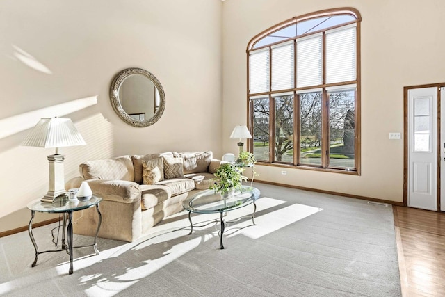 living room featuring a towering ceiling and light wood-type flooring