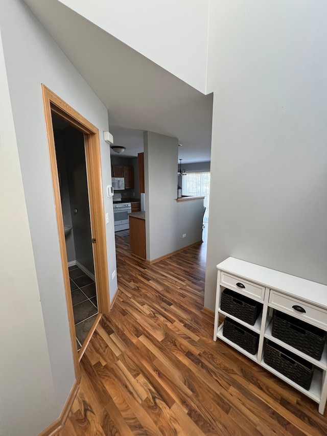 corridor with dark hardwood / wood-style flooring