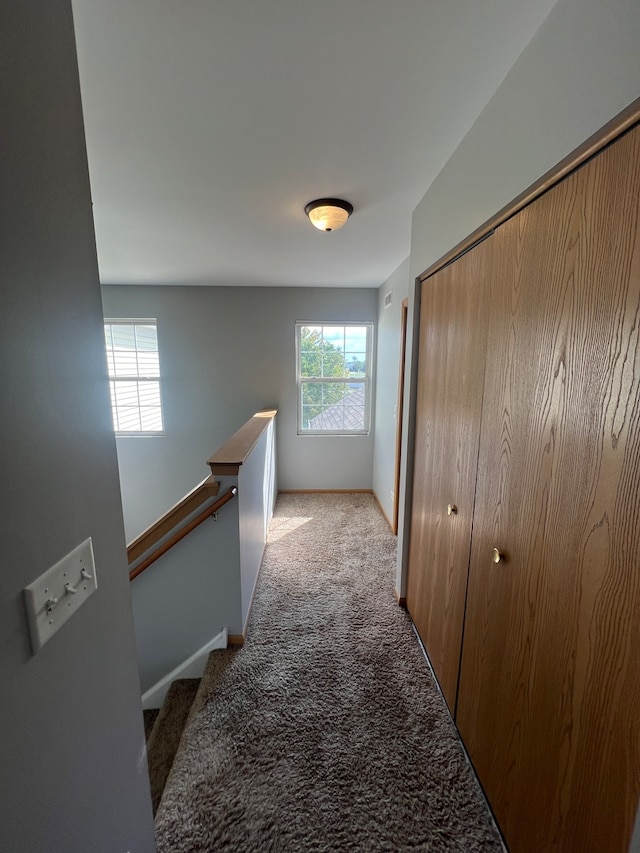 hallway featuring light carpet