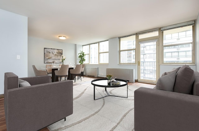 living room with light hardwood / wood-style floors and radiator