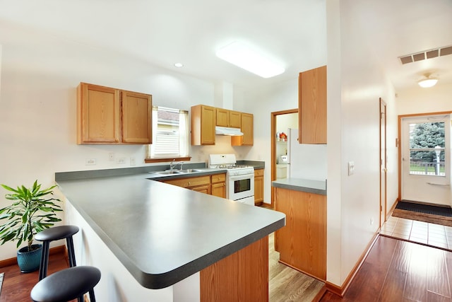 kitchen featuring kitchen peninsula, white gas range, and a healthy amount of sunlight