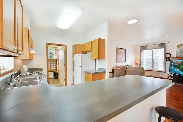 kitchen featuring kitchen peninsula, white refrigerator, light hardwood / wood-style flooring, and sink