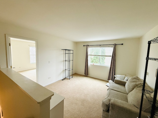 living room featuring light carpet