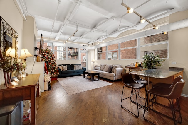 living room with dark hardwood / wood-style floors