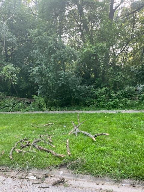 13536 Central Park Ave, Robbins, IL 60472