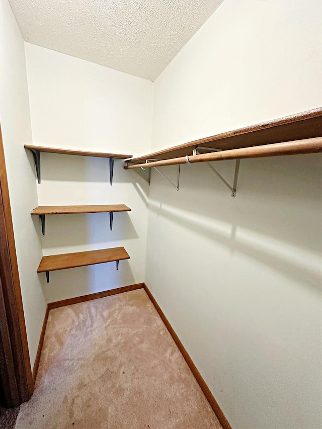 walk in closet with light carpet