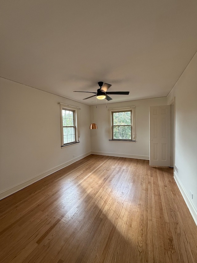 spare room with plenty of natural light, ceiling fan, and light wood-type flooring