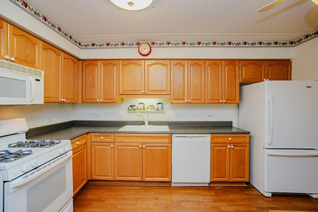 kitchen featuring white appliances, light hardwood / wood-style flooring, and sink