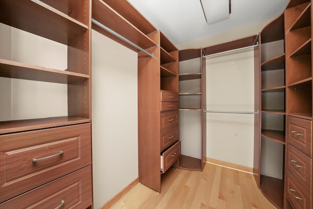 walk in closet with light hardwood / wood-style flooring