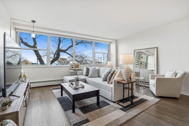 living room featuring dark hardwood / wood-style flooring and baseboard heating