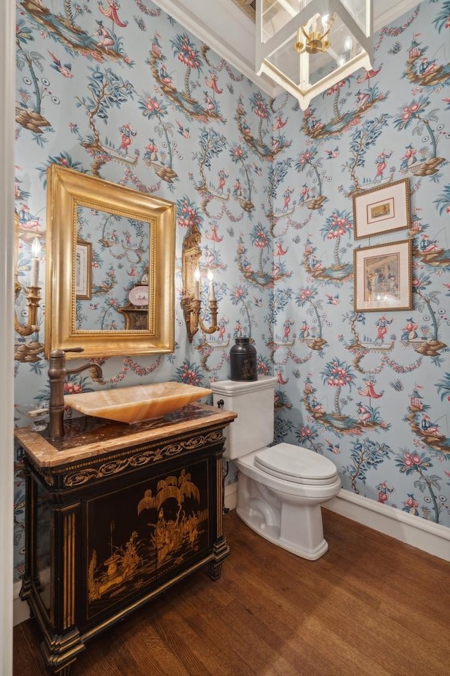 bathroom with vanity, hardwood / wood-style flooring, and toilet