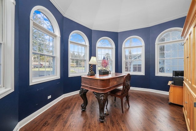 office featuring vaulted ceiling, dark wood-type flooring, and crown molding