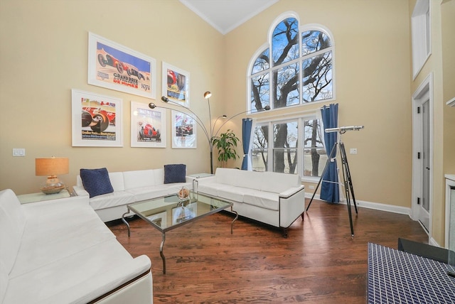 living room featuring dark hardwood / wood-style flooring, a towering ceiling, and ornamental molding