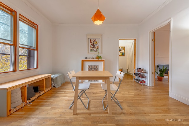 dining area with light hardwood / wood-style floors and ornamental molding