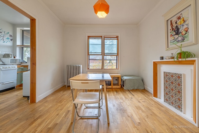 dining room featuring crown molding, radiator, and light hardwood / wood-style flooring