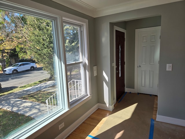 doorway with dark hardwood / wood-style flooring and ornamental molding