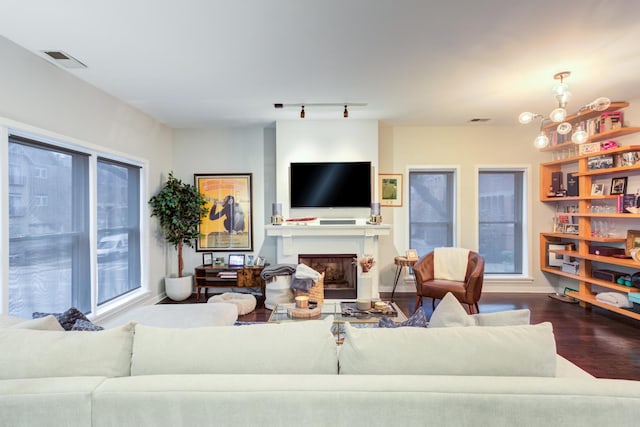 living room featuring plenty of natural light, rail lighting, and hardwood / wood-style flooring