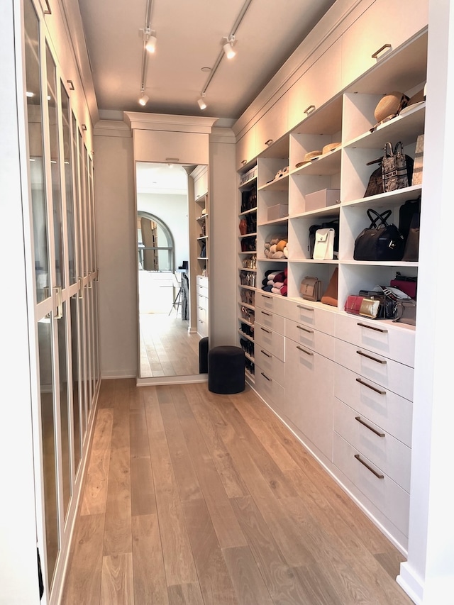 spacious closet featuring light hardwood / wood-style flooring