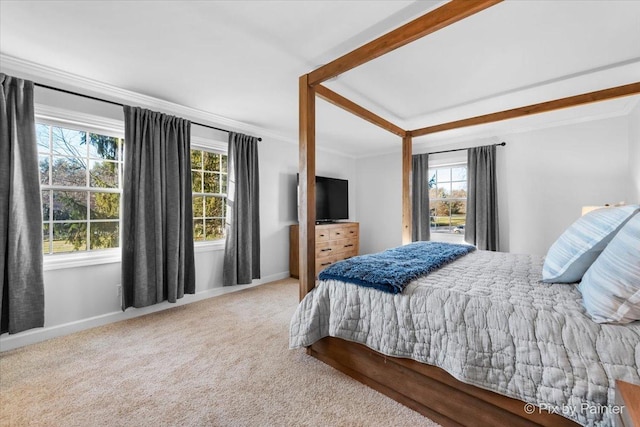 bedroom featuring carpet floors, multiple windows, and ornamental molding