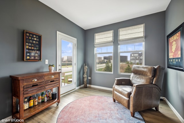 living area featuring light hardwood / wood-style flooring