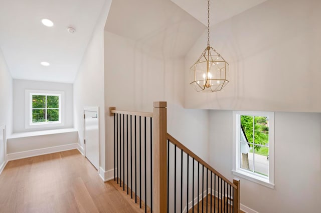 hallway with a wealth of natural light, a chandelier, lofted ceiling, and light wood-type flooring