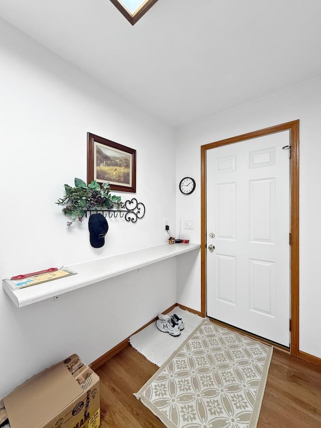 entrance foyer featuring wood-type flooring