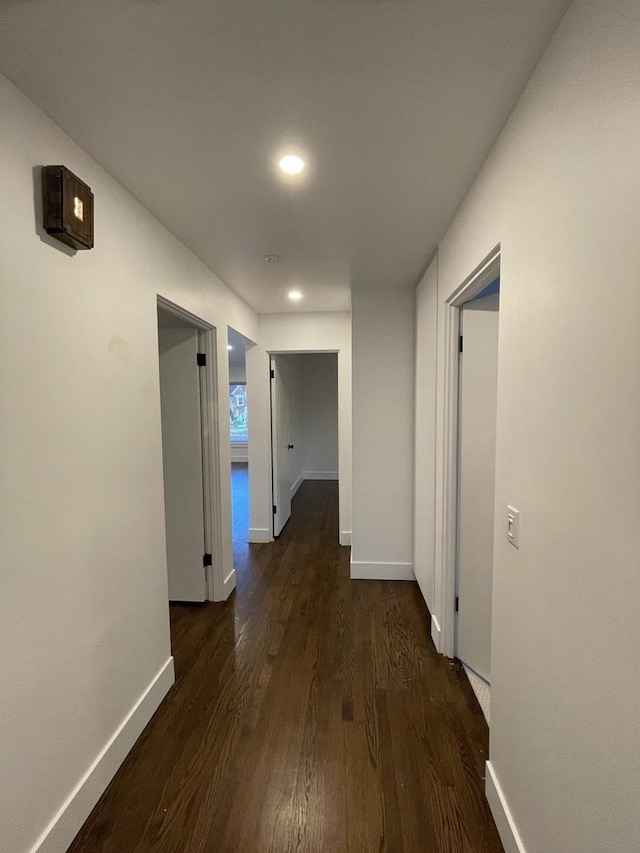 hall featuring dark hardwood / wood-style floors