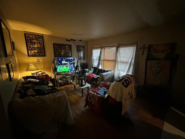 living room with dark hardwood / wood-style floors