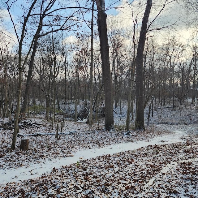 view of snowy landscape