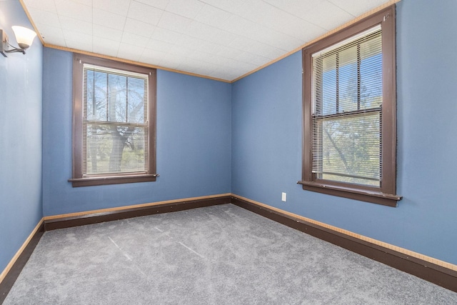 unfurnished room featuring carpet floors and crown molding