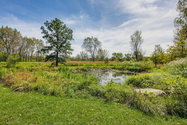 view of local wilderness with a water view