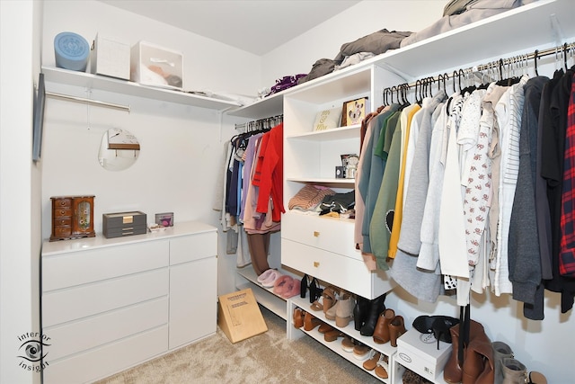 walk in closet featuring light carpet