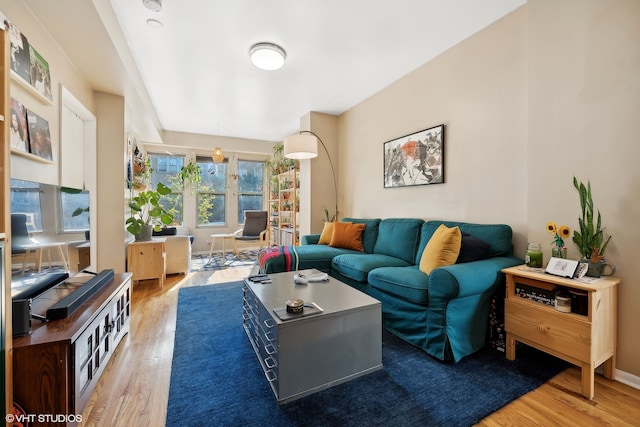 living room with wood-type flooring