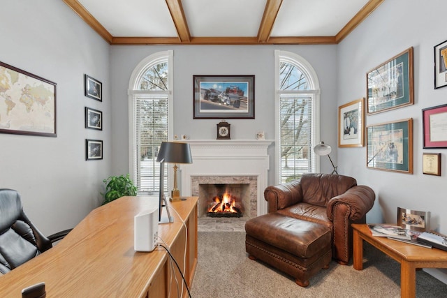 interior space featuring crown molding, a healthy amount of sunlight, and beam ceiling