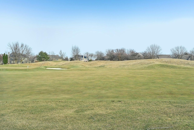 view of community featuring a yard