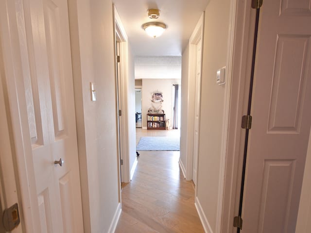 hallway featuring light hardwood / wood-style flooring