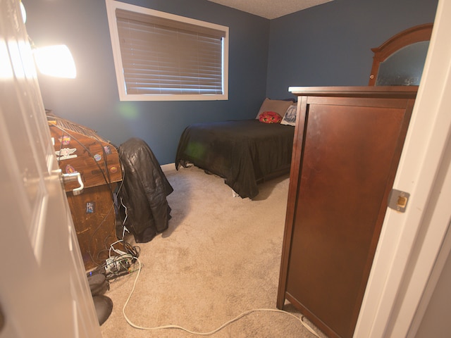 bedroom with light colored carpet