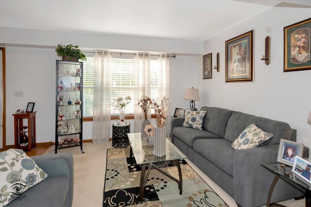 carpeted living room with an inviting chandelier and a healthy amount of sunlight