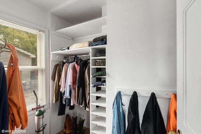 view of closet