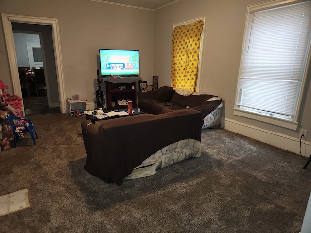 living room featuring ornamental molding and dark colored carpet