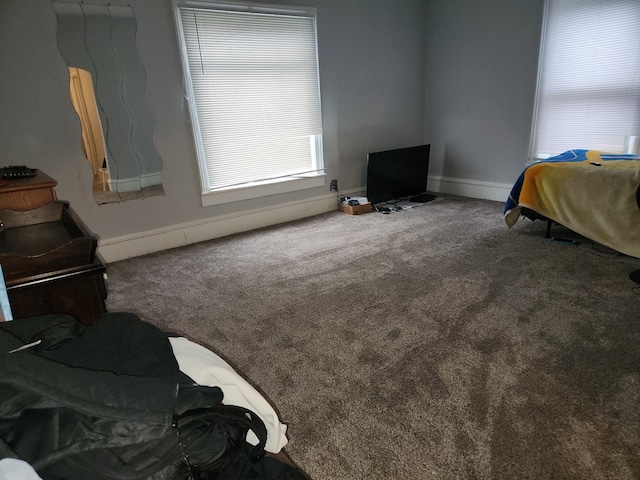 bedroom featuring carpet flooring