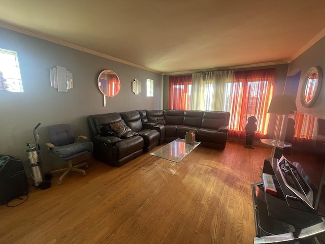 living room with hardwood / wood-style floors and ornamental molding