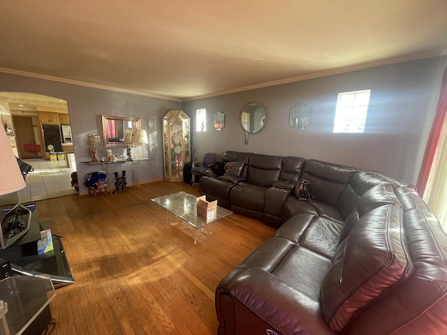 living room with hardwood / wood-style flooring and crown molding