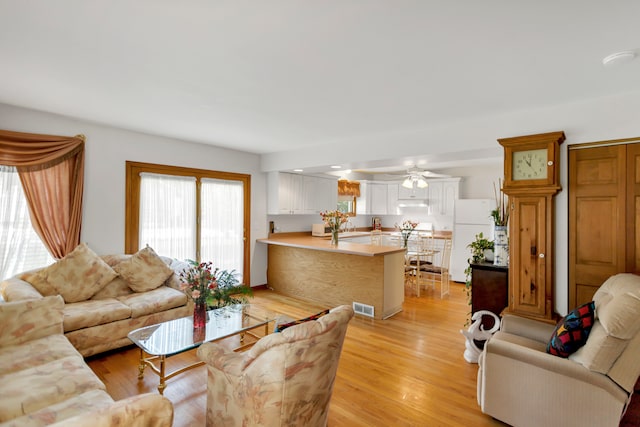 living room featuring ceiling fan, light wood-type flooring, and sink