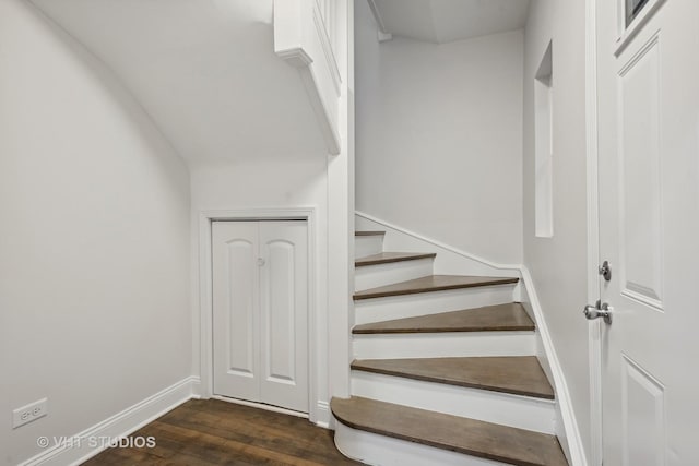 staircase featuring wood-type flooring